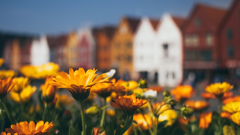 Fenntartható városok: hogyan tervez az építészet a jövő generációinak?