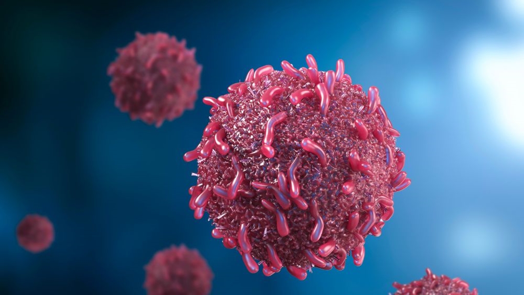 A rák típusai és a személyre szabott precíziós onkológia térnyerése